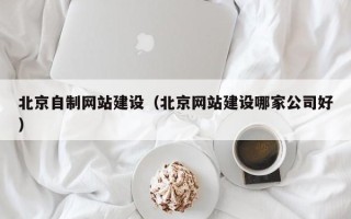 如皋北京自制网站建设（北京网站建设哪家公司好）