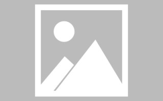 如皋网站建设许昌论坛（许昌网站seo）